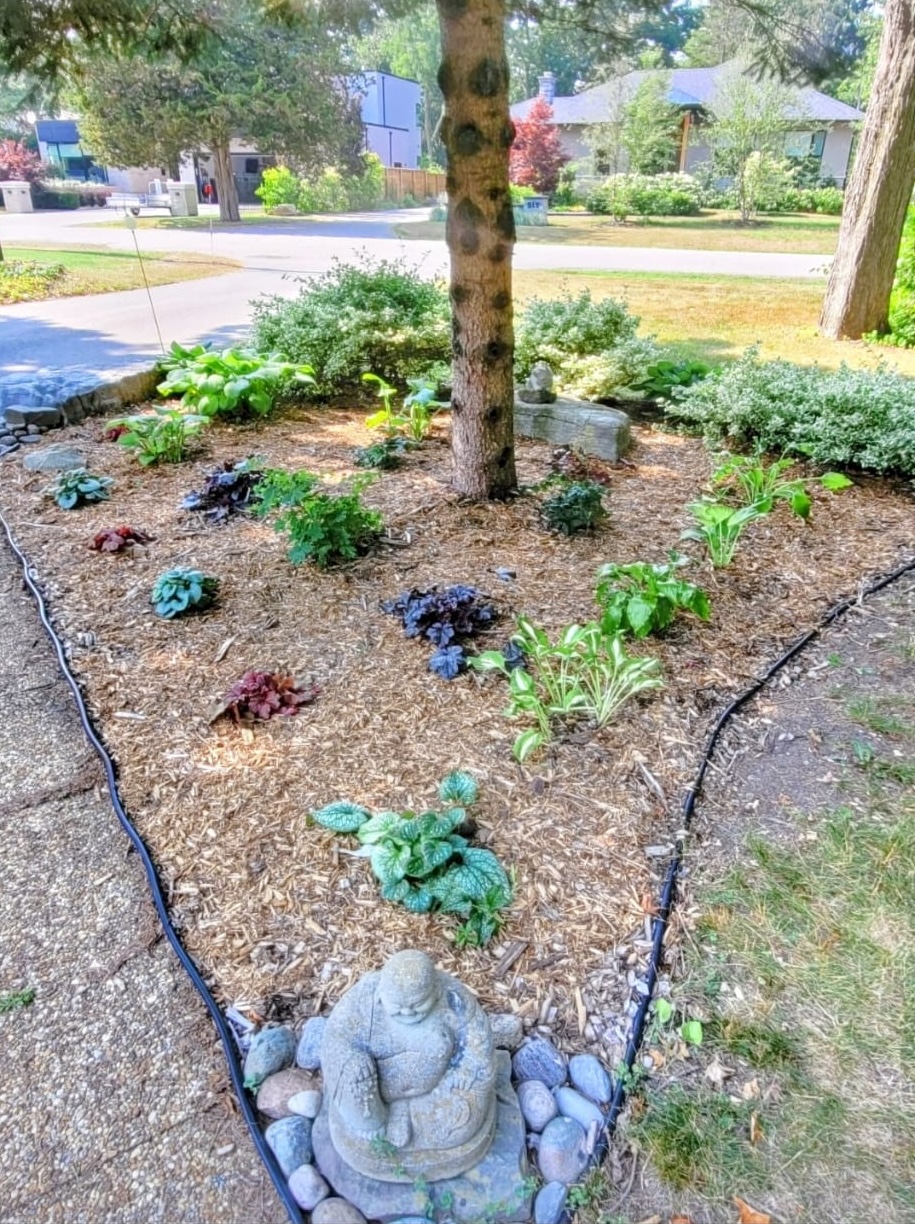 Before: empty backyard