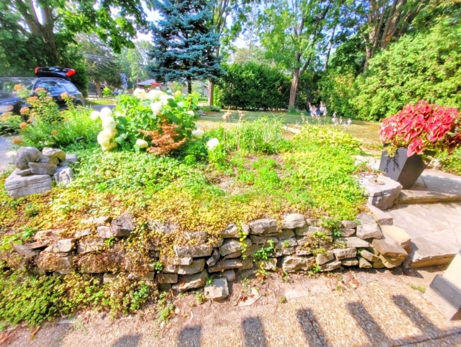 After: thriving food garden