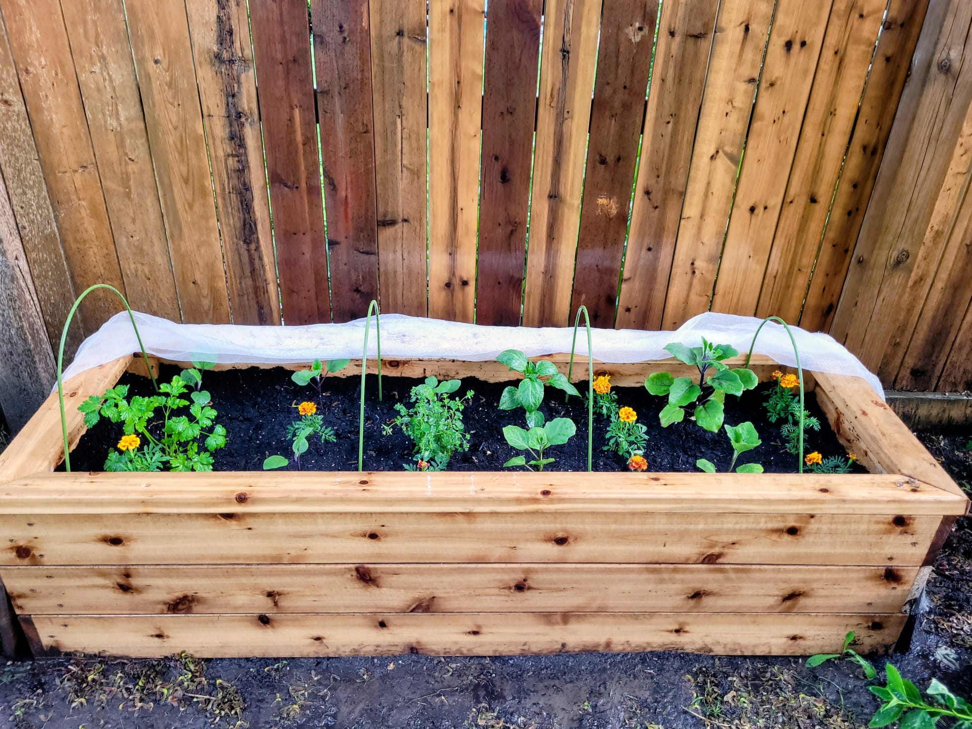 Completed garden installation