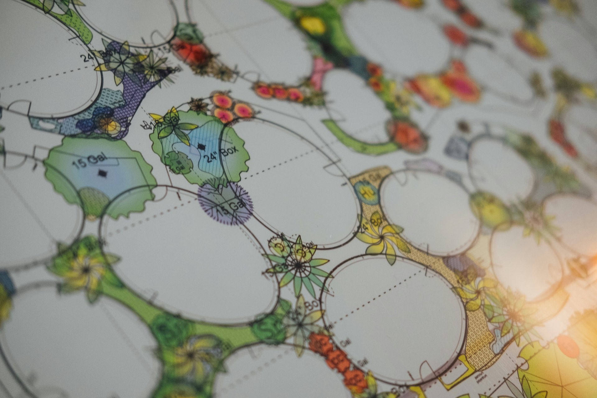 Eco-conscious landscape design with native plantings