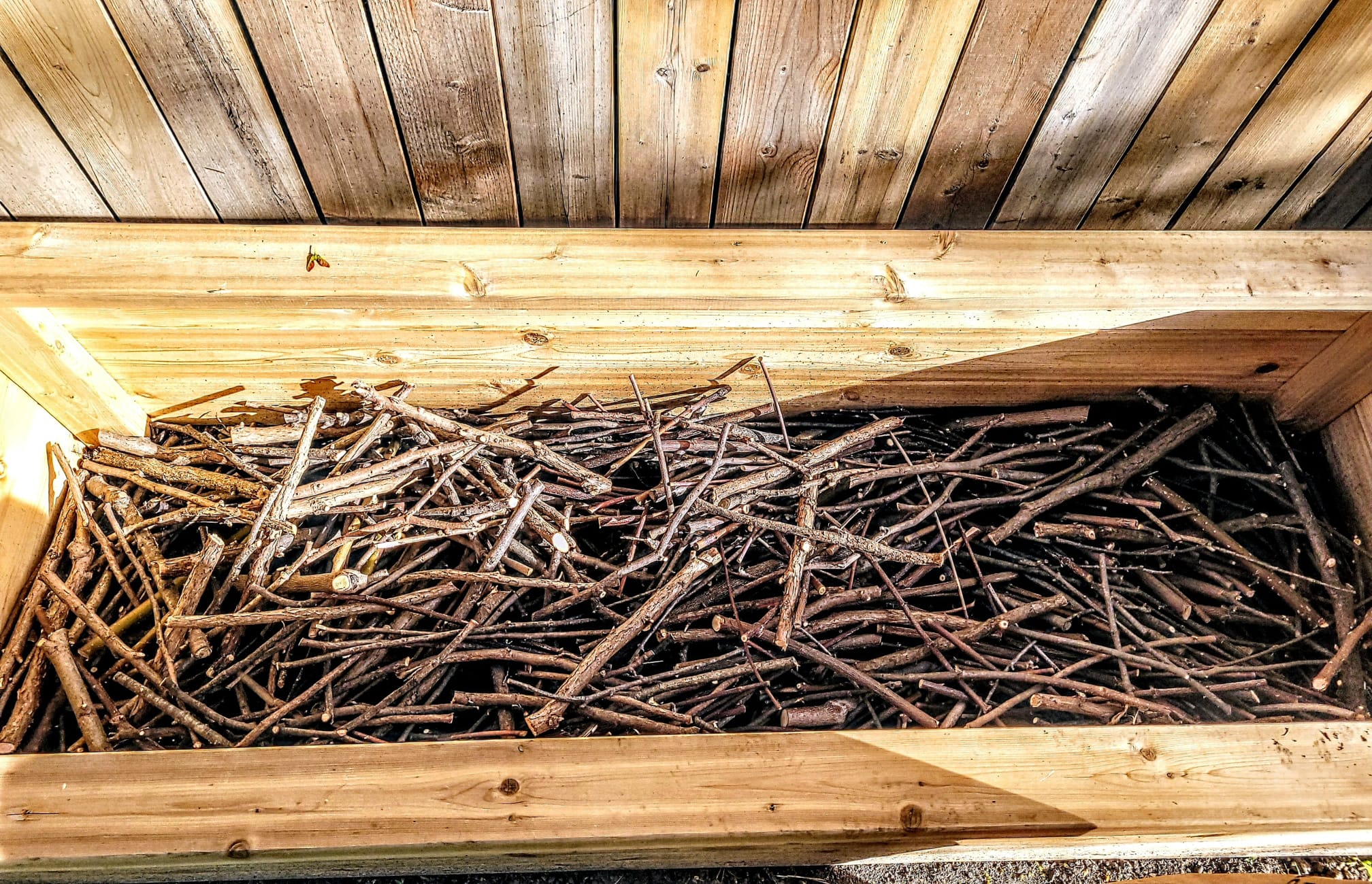 Raised bed garden in fall